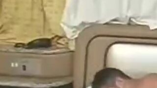 Transex_com_Nathany_gomes