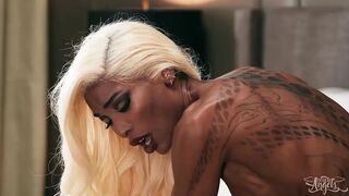 TRANS ANGELS - Natassia Dreams Returns To TransAngels For A Wild Night With Jayden Marcos And Passionate Sex