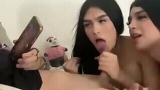 two shemale friends sucking male cock
